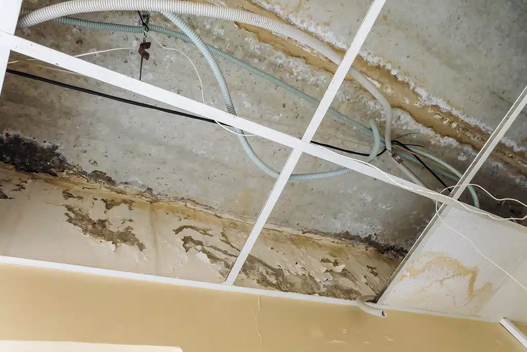 Image of water-damaged interior of a basement ceiling with drop panels removed.